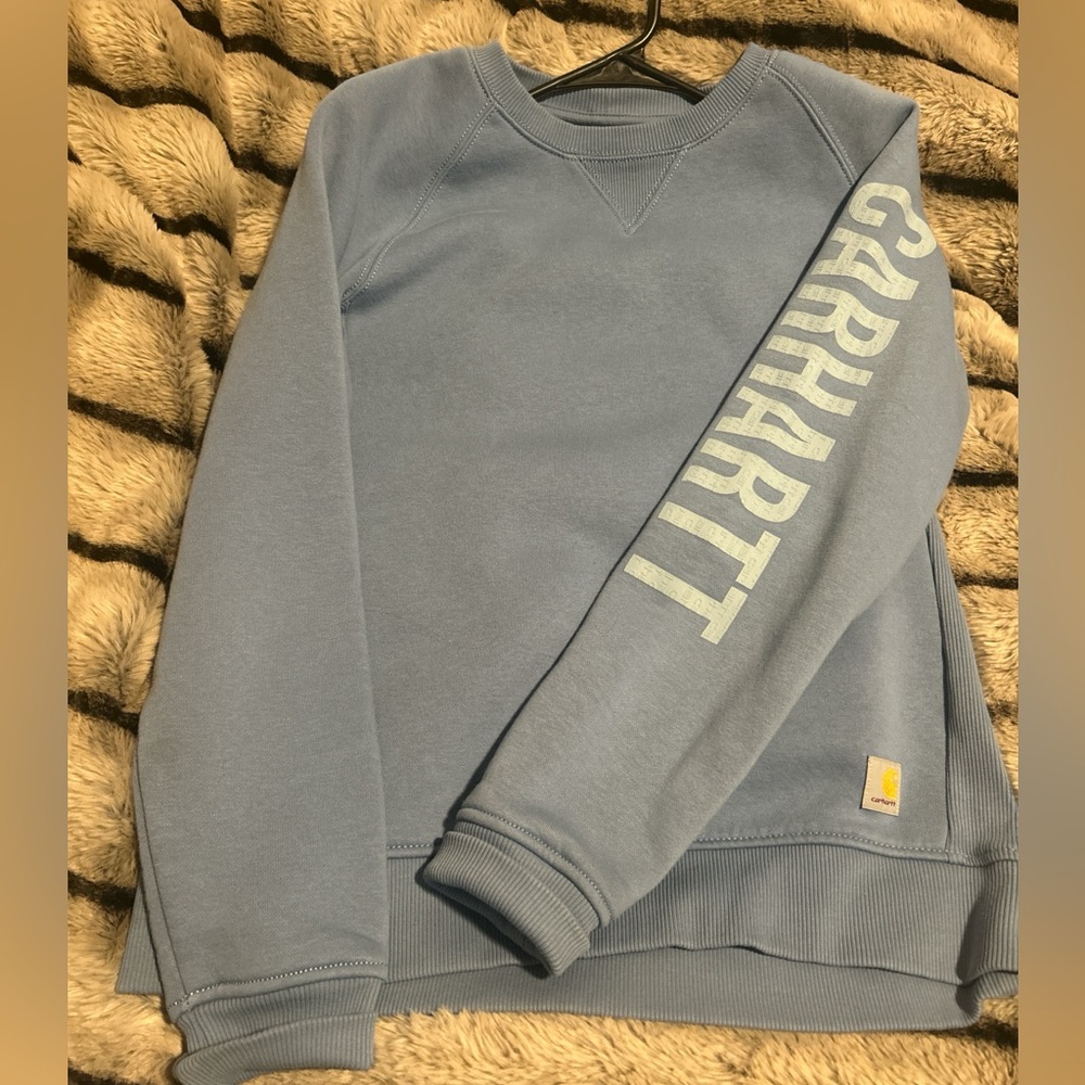 blue carhartt sweater :)